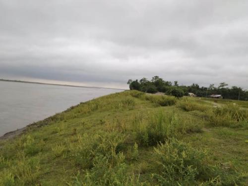 Bank Reveted work at Aphalamukh to DakhinpatMajuli